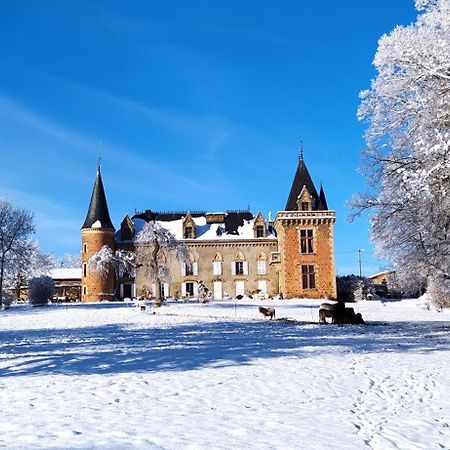 Chateau De La Forie Saint-Etienne-sur-Usson Eksteriør bilde