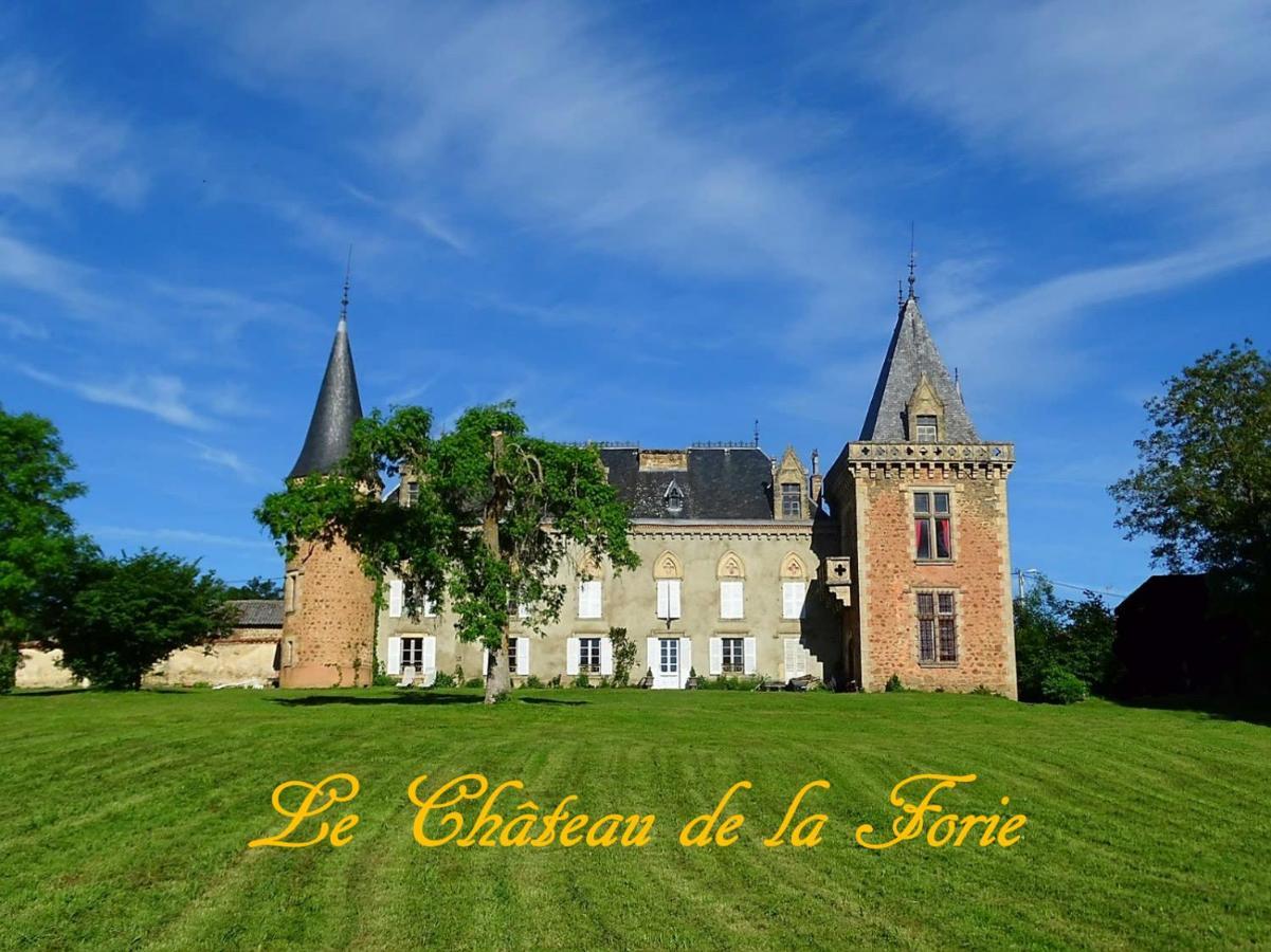 Chateau De La Forie Saint-Etienne-sur-Usson Eksteriør bilde