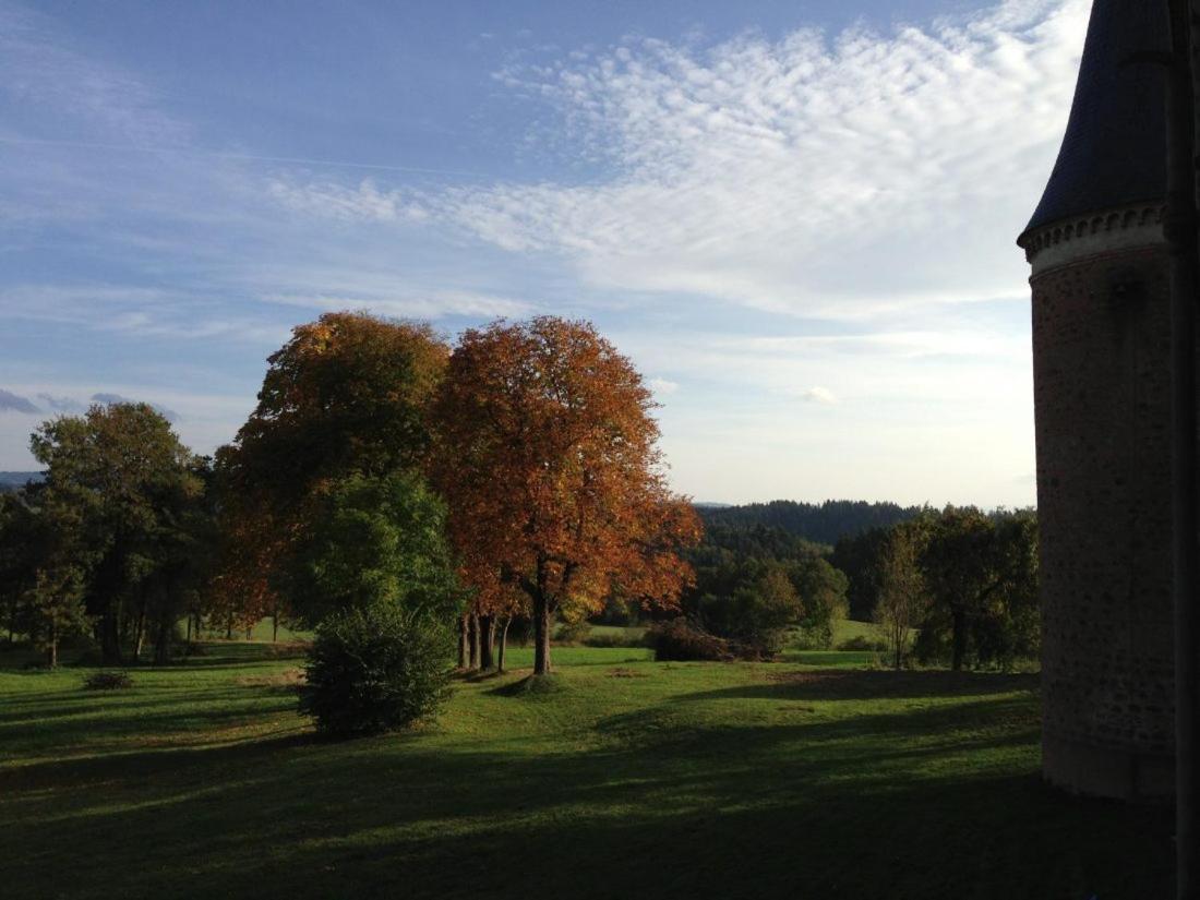 Chateau De La Forie Saint-Etienne-sur-Usson Eksteriør bilde