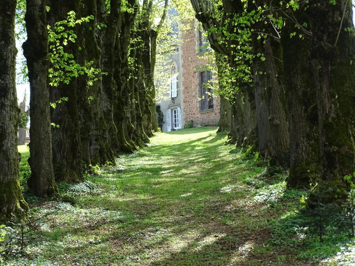 Chateau De La Forie Saint-Etienne-sur-Usson Eksteriør bilde