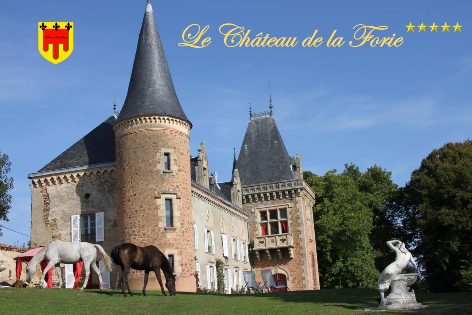 Chateau De La Forie Saint-Etienne-sur-Usson Eksteriør bilde