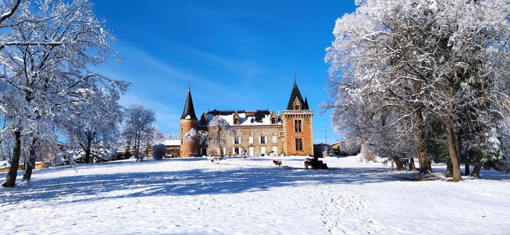 Chateau De La Forie Saint-Etienne-sur-Usson Eksteriør bilde